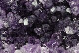 Dark Purple, Amethyst Crystal Cluster - Uruguay #123789-1